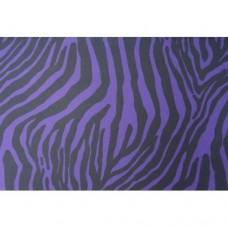 Zebra on Purple